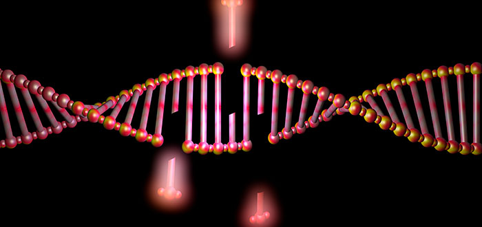 ¿Comprarías el genoma de una estrella? El bizarro mercado de la «Inversión Biológica» que está moviendo millones